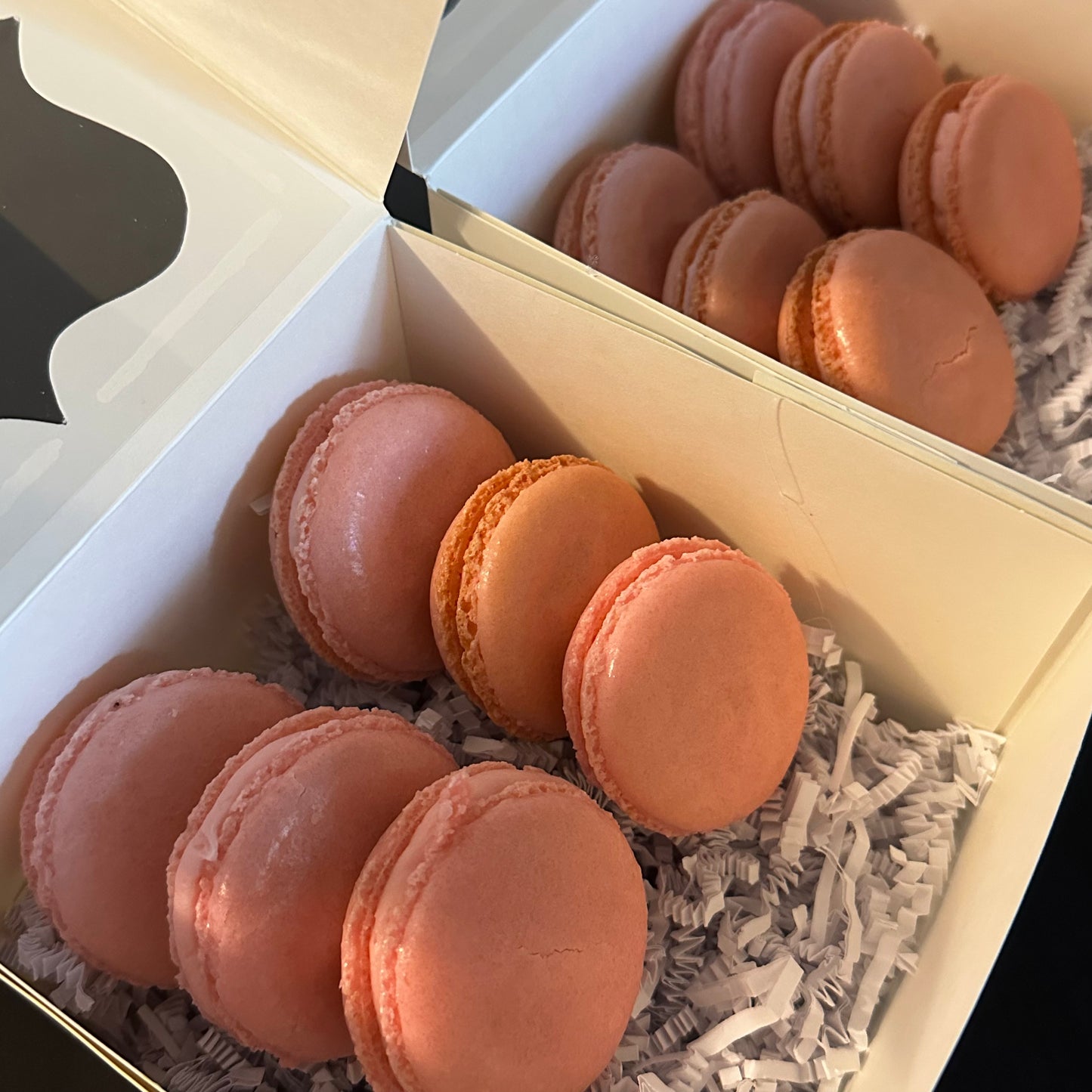 Vanilla Macarons